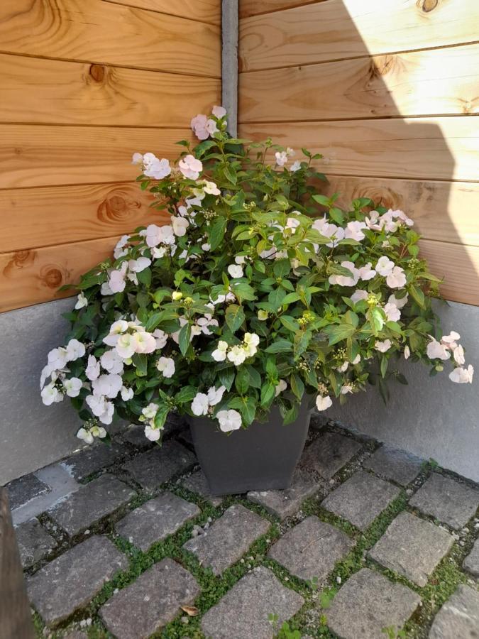 Le Gite De Campagnette Avec Son Jacuzzi Privatif Saint-Martin-Choquel Exterior foto